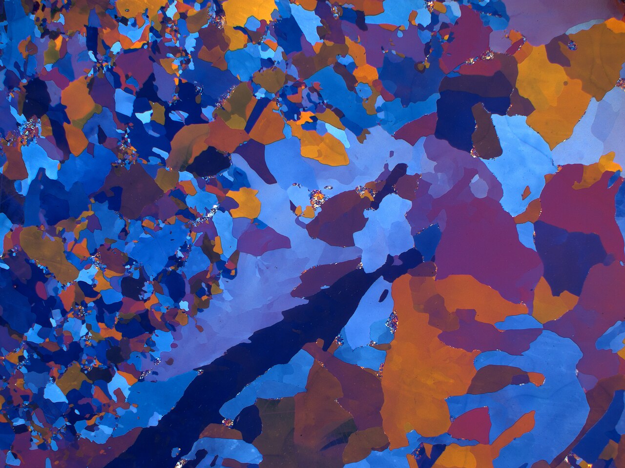 Irregular patches of blue, purple and orange fill the frame, like a stained-glass window.