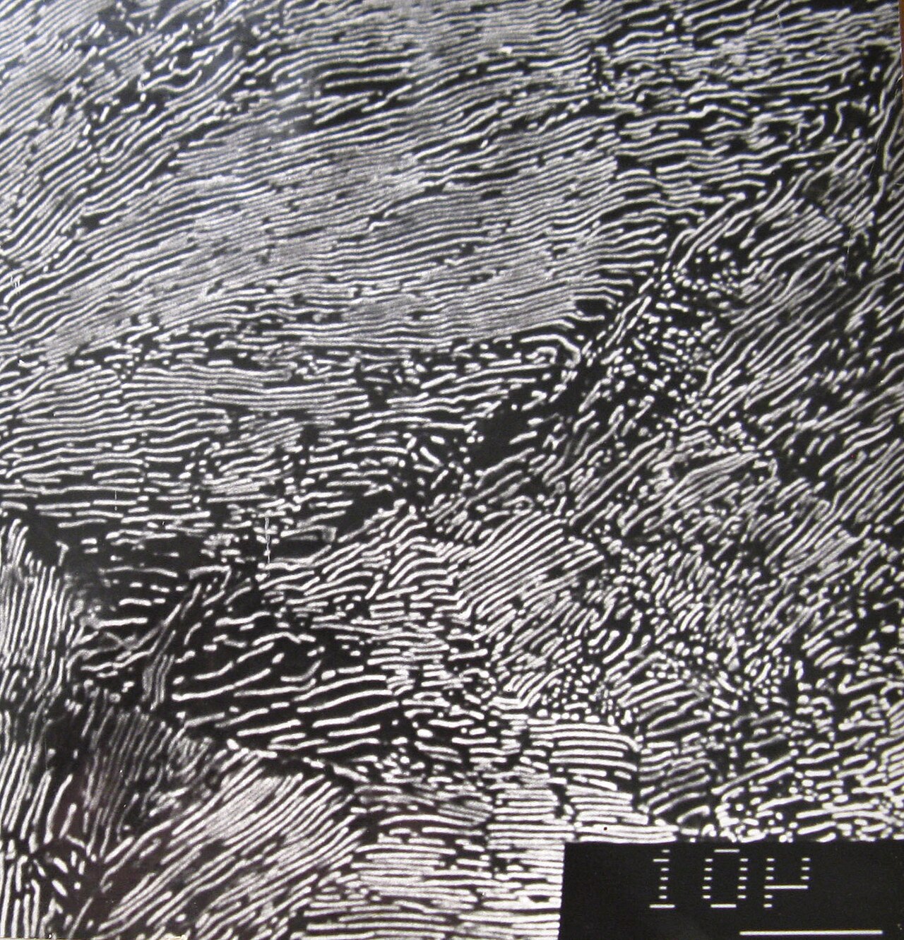 A black-and-white microscope image of fine, closely spaced wavy white stripes running in different directions in patches.